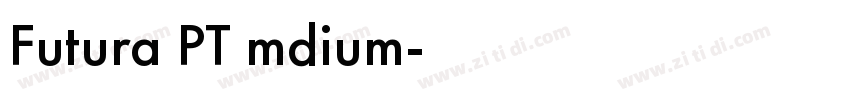 Futura PT mdium字体转换